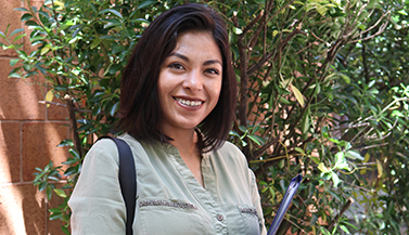 Check Your Status or Pay a Bill