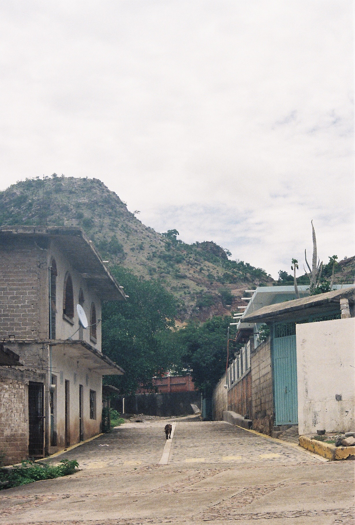 Mya Ballinas Moran - Bajo del Cerro - 2025 - 35mm Film Photograph - 11 x 14 in